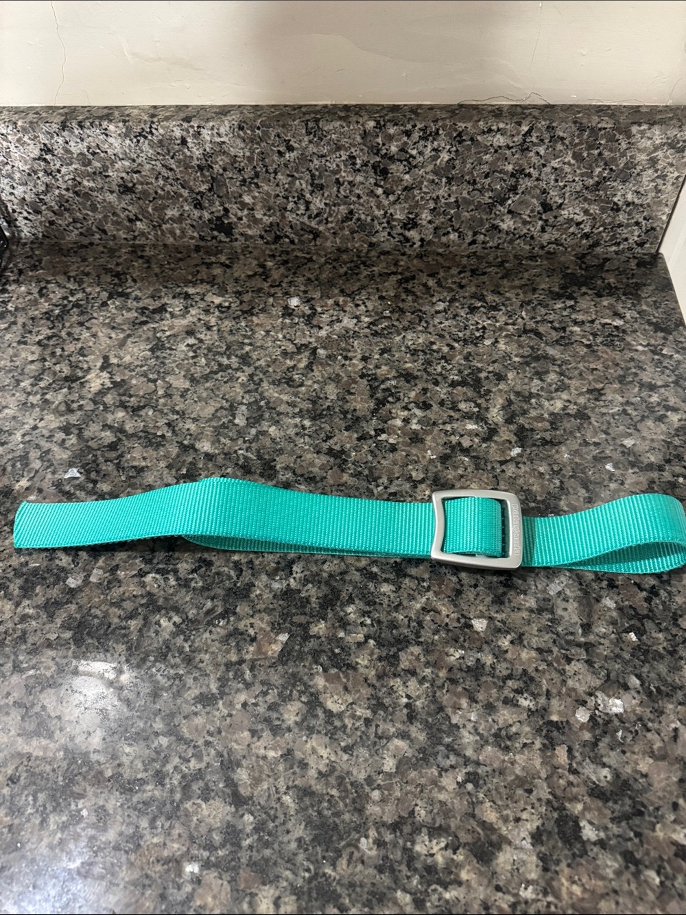 Patagonia Aqua Teal Webbing Belt with Silver Buckle